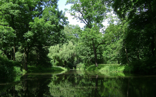 Dream green park  from Chrome web store to be run with OffiDocs Chromium online