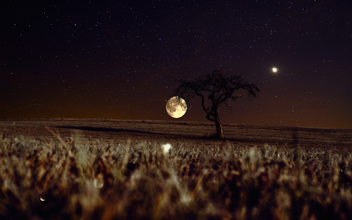 Dreamy full moon night  from Chrome web store to be run with OffiDocs Chromium online