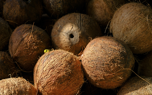Dried coconut skull  from Chrome web store to be run with OffiDocs Chromium online