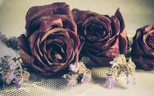 Dried flowers  from Chrome web store to be run with OffiDocs Chromium online