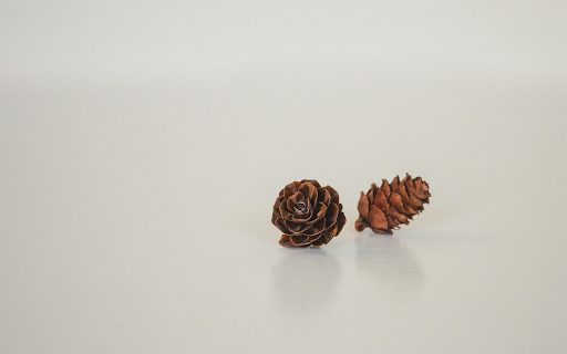 Dried pine cones  from Chrome web store to be run with OffiDocs Chromium online