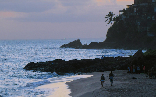 Drone Photography of a Picturesque Beach  from Chrome web store to be run with OffiDocs Chromium online