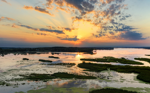 Drone Shot of a Wetland  from Chrome web store to be run with OffiDocs Chromium online