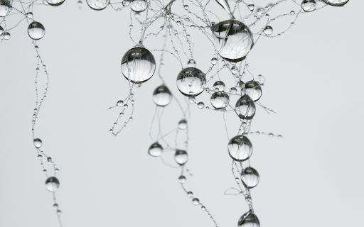 Drops of water on the wire  from Chrome web store to be run with OffiDocs Chromium online