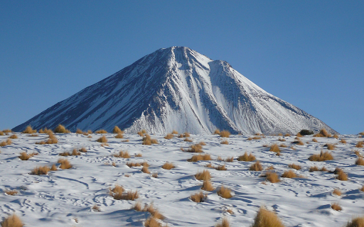 Dry grass and white snow  from Chrome web store to be run with OffiDocs Chromium online