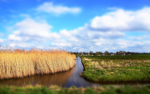 Dry grass field  from Chrome web store to be run with OffiDocs Chromium online