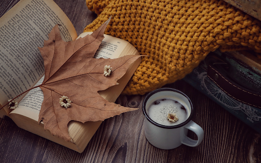 Dry leaves, books and wool hats  from Chrome web store to be run with OffiDocs Chromium online