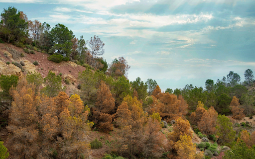 Dry Season Hills  from Chrome web store to be run with OffiDocs Chromium online