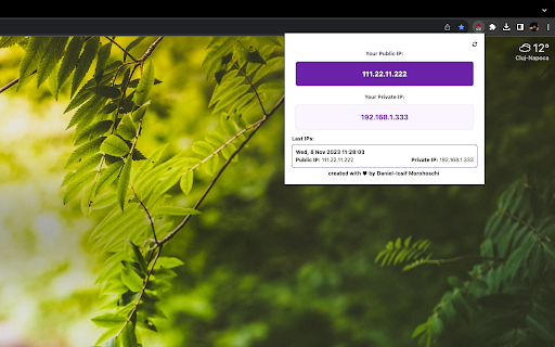 Dual IP Info  from Chrome web store to be run with OffiDocs Chromium online