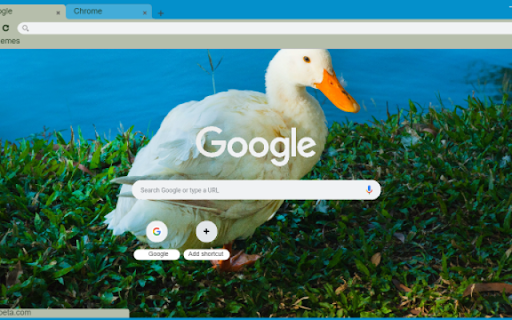 Duck  from Chrome web store to be run with OffiDocs Chromium online