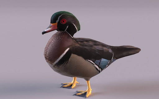 Duck 3D  from Chrome web store to be run with OffiDocs Chromium online