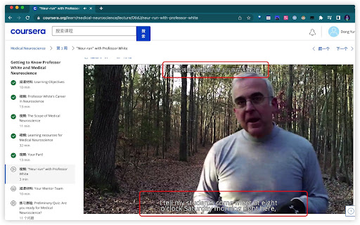 Duplex Subtitles  from Chrome web store to be run with OffiDocs Chromium online