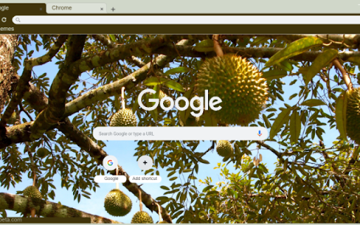 Durian Tree  from Chrome web store to be run with OffiDocs Chromium online