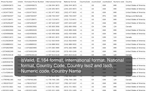 E.164 Phone Number Country Lookup  from Chrome web store to be run with OffiDocs Chromium online