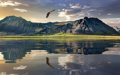Eagle flying over the lake  from Chrome web store to be run with OffiDocs Chromium online
