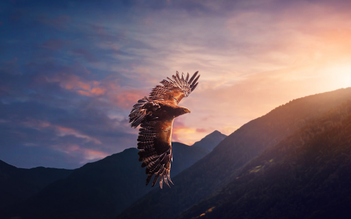 Eagle Flying Over the Valley  from Chrome web store to be run with OffiDocs Chromium online