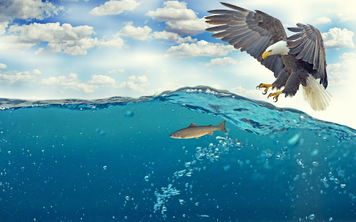 Eagle hunting  from Chrome web store to be run with OffiDocs Chromium online