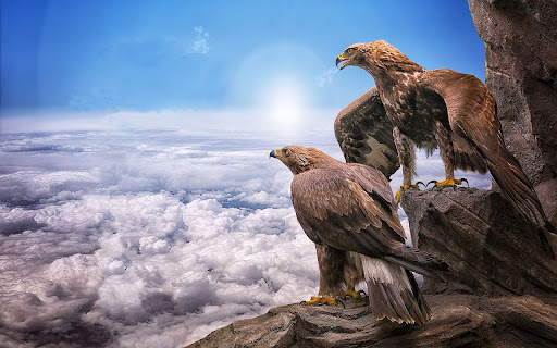 Eagles Browser Theme  from Chrome web store to be run with OffiDocs Chromium online