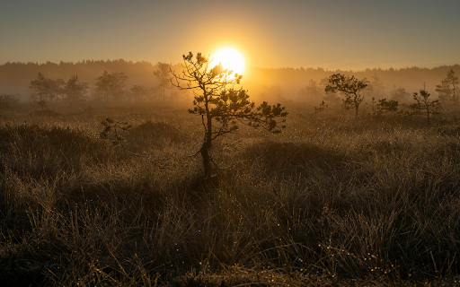 early morning sunrise  from Chrome web store to be run with OffiDocs Chromium online