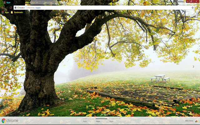 Earth Fall Fog Landscape  from Chrome web store to be run with OffiDocs Chromium online