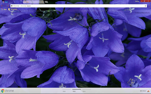 Earth Flower Croatia  from Chrome web store to be run with OffiDocs Chromium online