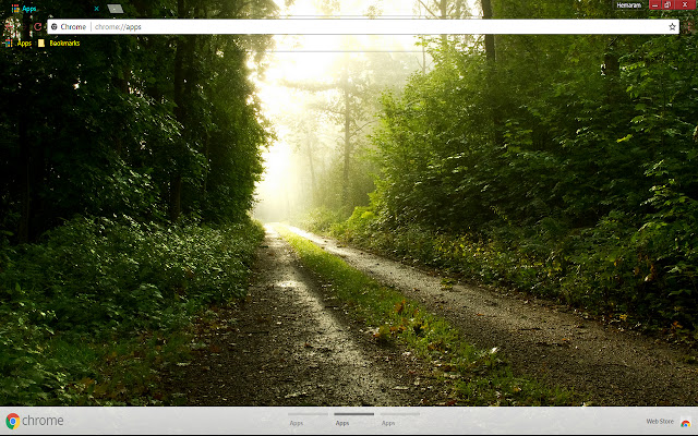 Earth Path  from Chrome web store to be run with OffiDocs Chromium online