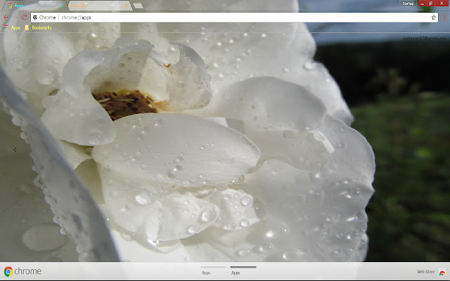 Earth White Flower  from Chrome web store to be run with OffiDocs Chromium online