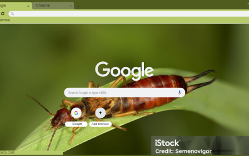 Earwig  from Chrome web store to be run with OffiDocs Chromium online