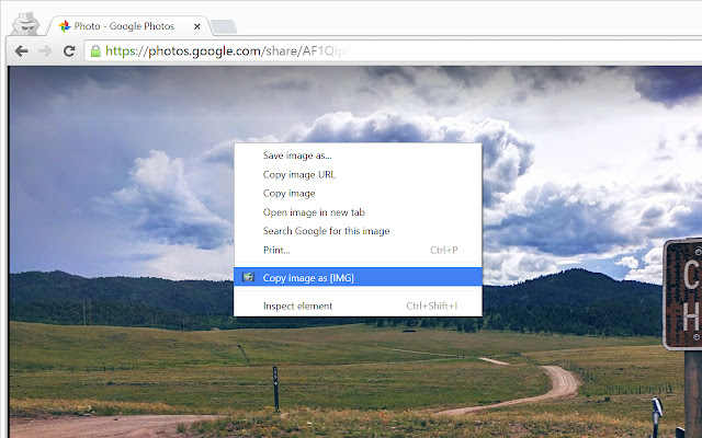 Easy Image Embed  from Chrome web store to be run with OffiDocs Chromium online