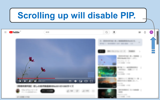 Easy PIP Switcher  from Chrome web store to be run with OffiDocs Chromium online