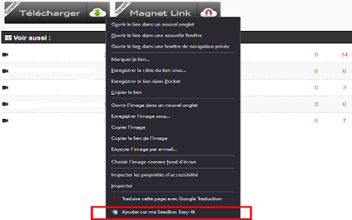 Easytorrent  from Chrome web store to be run with OffiDocs Chromium online