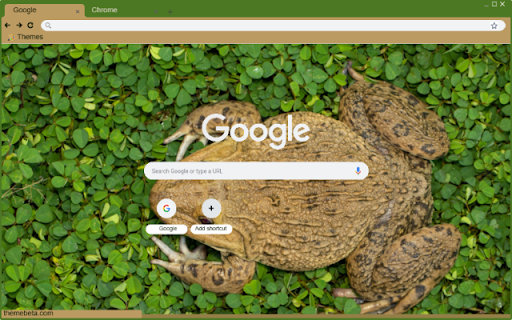 Ech  from Chrome web store to be run with OffiDocs Chromium online