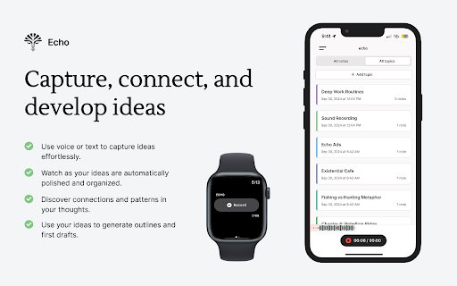 Echo Browser Extension  from Chrome web store to be run with OffiDocs Chromium online