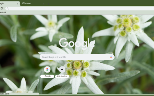 Edelweiss  from Chrome web store to be run with OffiDocs Chromium online
