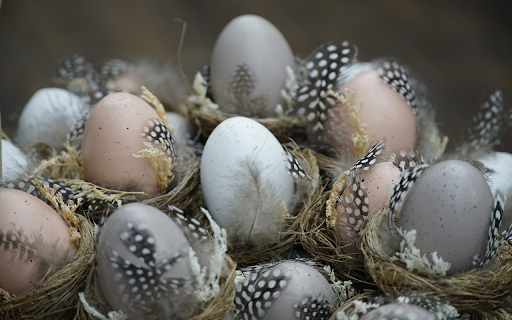 eggs and feathers  from Chrome web store to be run with OffiDocs Chromium online