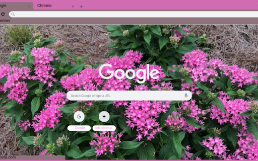 Egyptian Star Cluster  from Chrome web store to be run with OffiDocs Chromium online