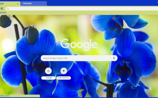 Electric Blue Orchid  from Chrome web store to be run with OffiDocs Chromium online
