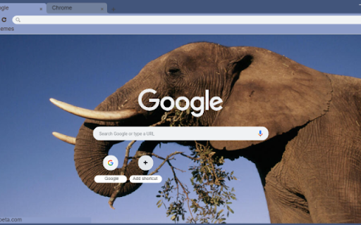Elephant  from Chrome web store to be run with OffiDocs Chromium online