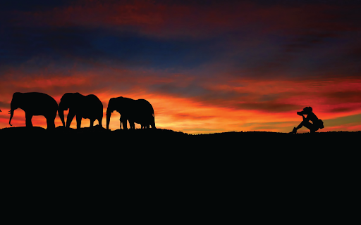 Elephant Sunset  from Chrome web store to be run with OffiDocs Chromium online
