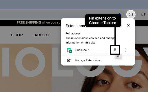 EmailScout Email Finder, Scraper  Extractor  from Chrome web store to be run with OffiDocs Chromium online
