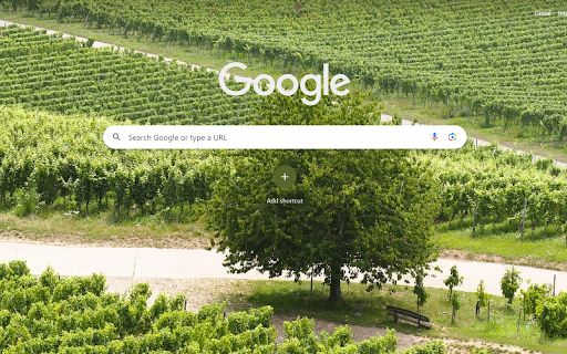 Emerald Vineyard Serenity  from Chrome web store to be run with OffiDocs Chromium online