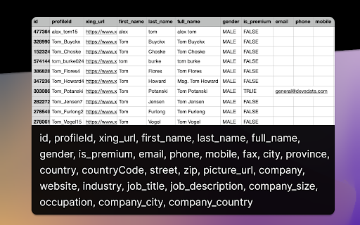 Employees Export for Xing (Email + Phone)  from Chrome web store to be run with OffiDocs Chromium online