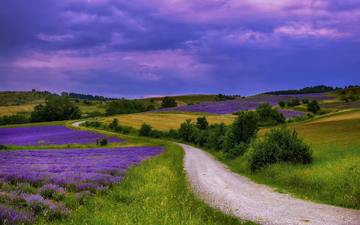 Endless flower fields  from Chrome web store to be run with OffiDocs Chromium online