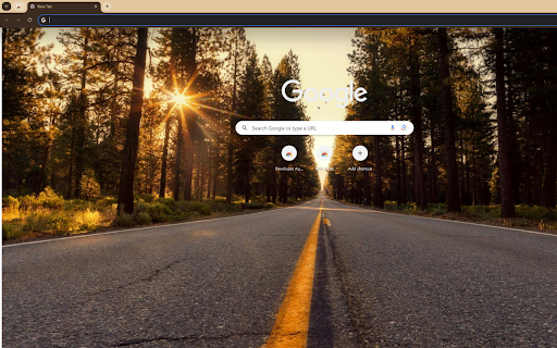 endless road leading into the forest at sunset  from Chrome web store to be run with OffiDocs Chromium online