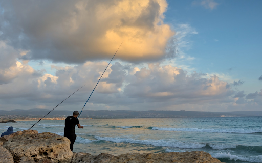 Enjoying sea fishing  from Chrome web store to be run with OffiDocs Chromium online