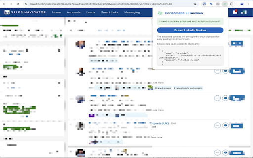 Enrichmatic LI Cookies  from Chrome web store to be run with OffiDocs Chromium online