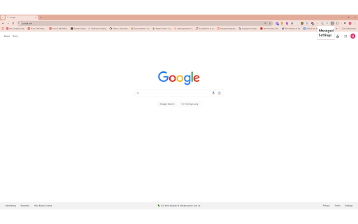 Enterprise Extension  from Chrome web store to be run with OffiDocs Chromium online