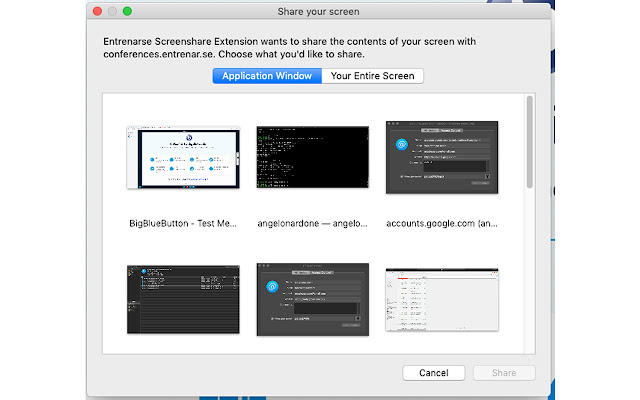 Entrenarse Screenshare Extension  from Chrome web store to be run with OffiDocs Chromium online