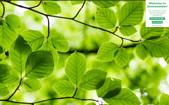 Envirominder  from Chrome web store to be run with OffiDocs Chromium online