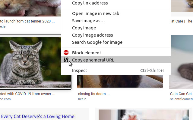 Ephemeral URLs  from Chrome web store to be run with OffiDocs Chromium online